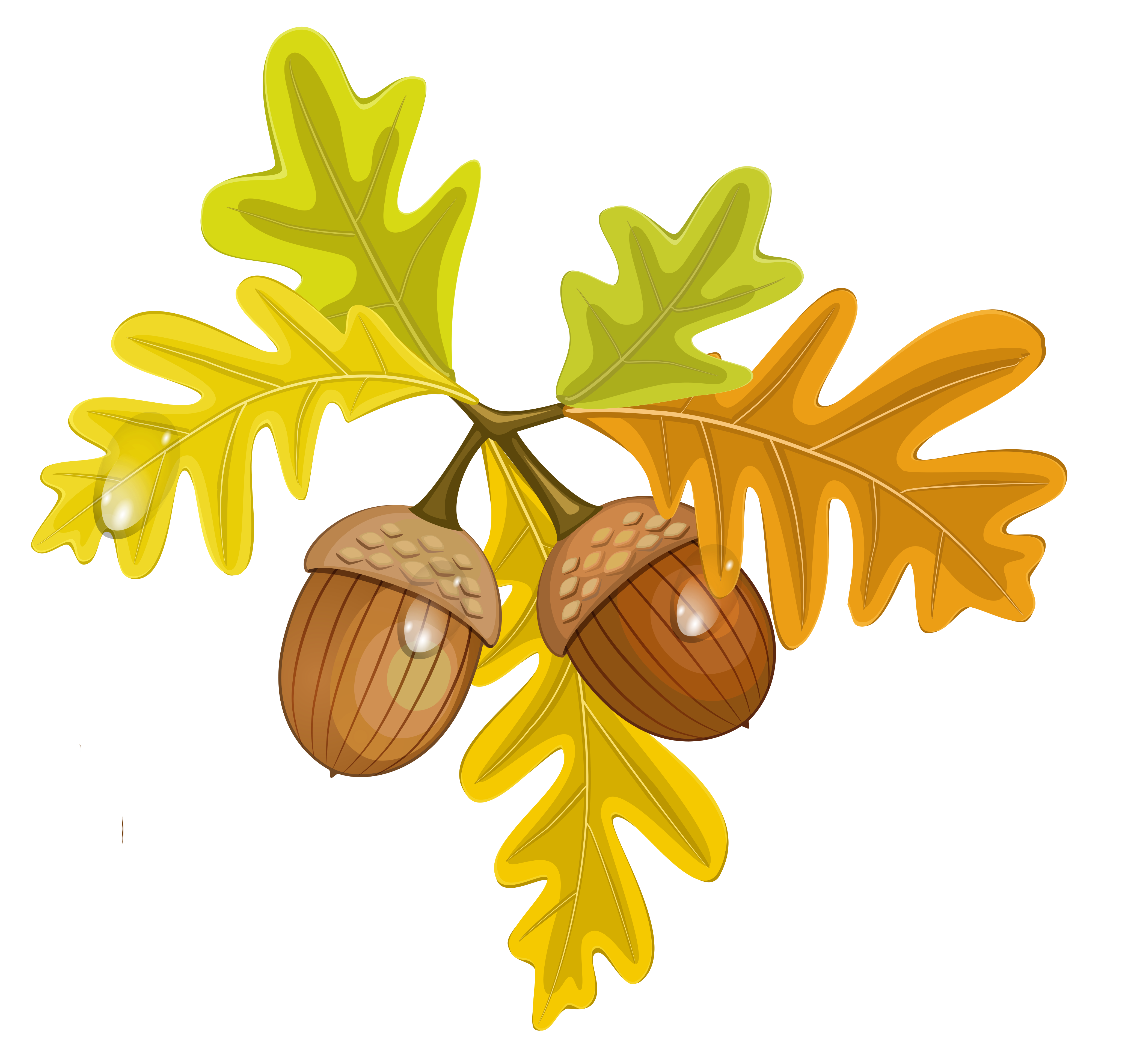 Acorn Clip Art 2946461 Clipart Library