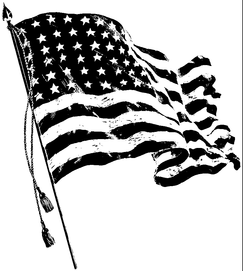 Usa flag black and white black and white american flag american 