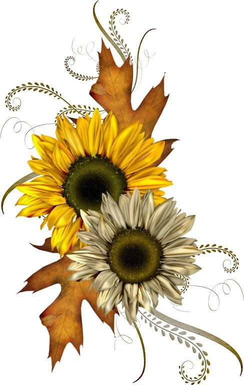 Autumn Clipart Free Fall Clip Art Images Autumn Clipart Free Fall Clip Art Images