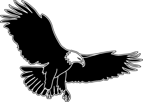 Flying Bald Eagle Clipart 