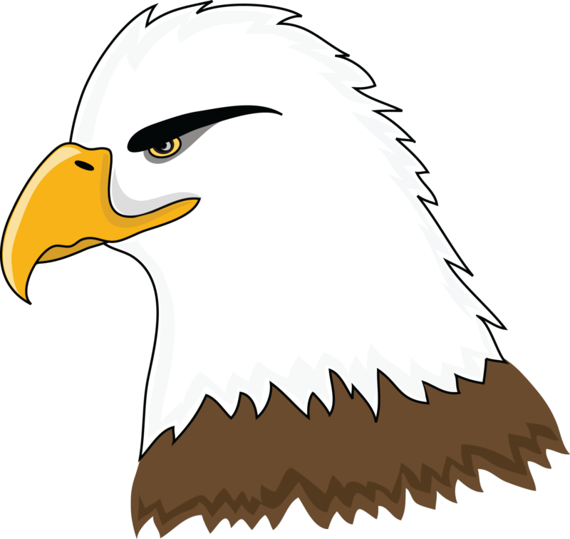 Free Bald Eagle Clip Art, Download Free Bald Eagle Clip Art png images ...
