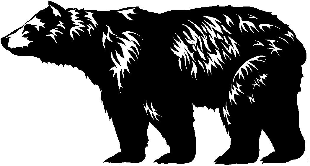 Bear Clip Art Drawing  Free Clipart Images