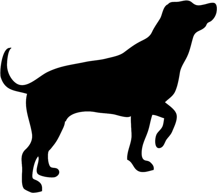 unique Dog silhouette,Labrador
