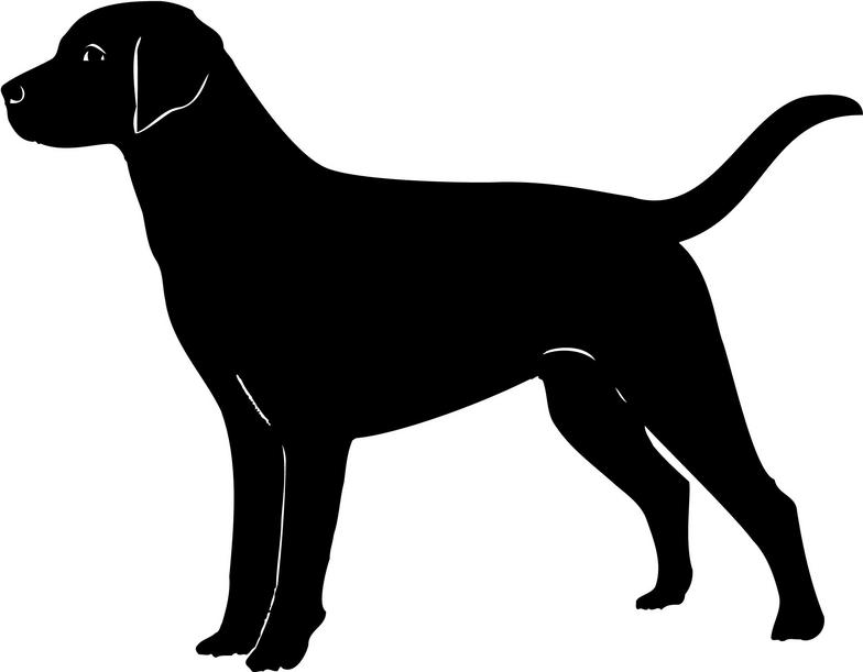 Graphics For Black Dog