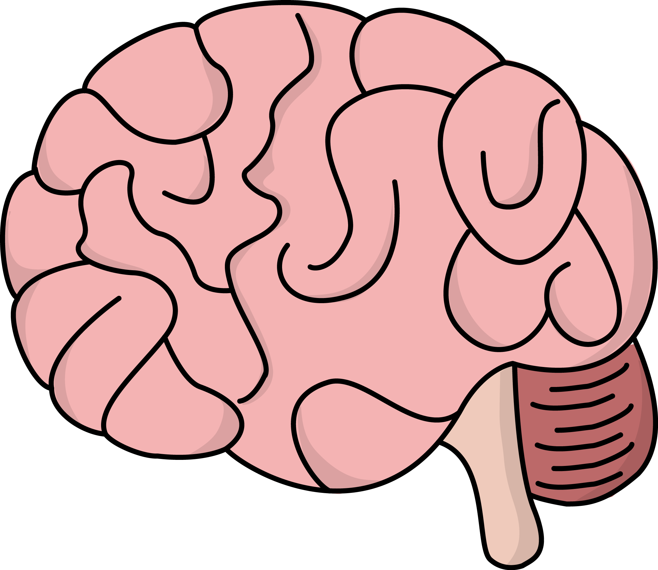 Brain rot. Мозг рисунок. Мозг нарисованный. Мозг вектор.