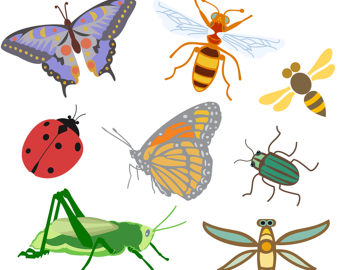 clip art insects - Clip Art Library
