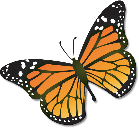 Butterflies Butterfly Clip Art Clipart Clipartix_clipartix