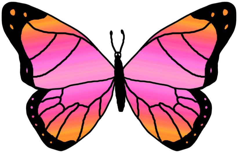Butterflies Cartoon Butterfly Clipart Clipartix_clipartix