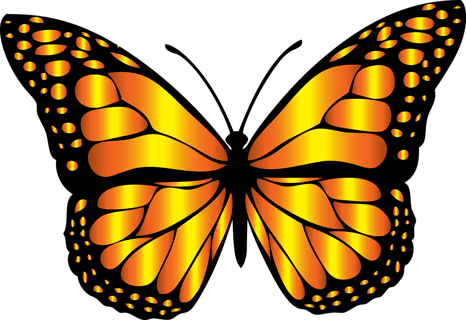 22 Butterfly Clipart_statuswallpaper