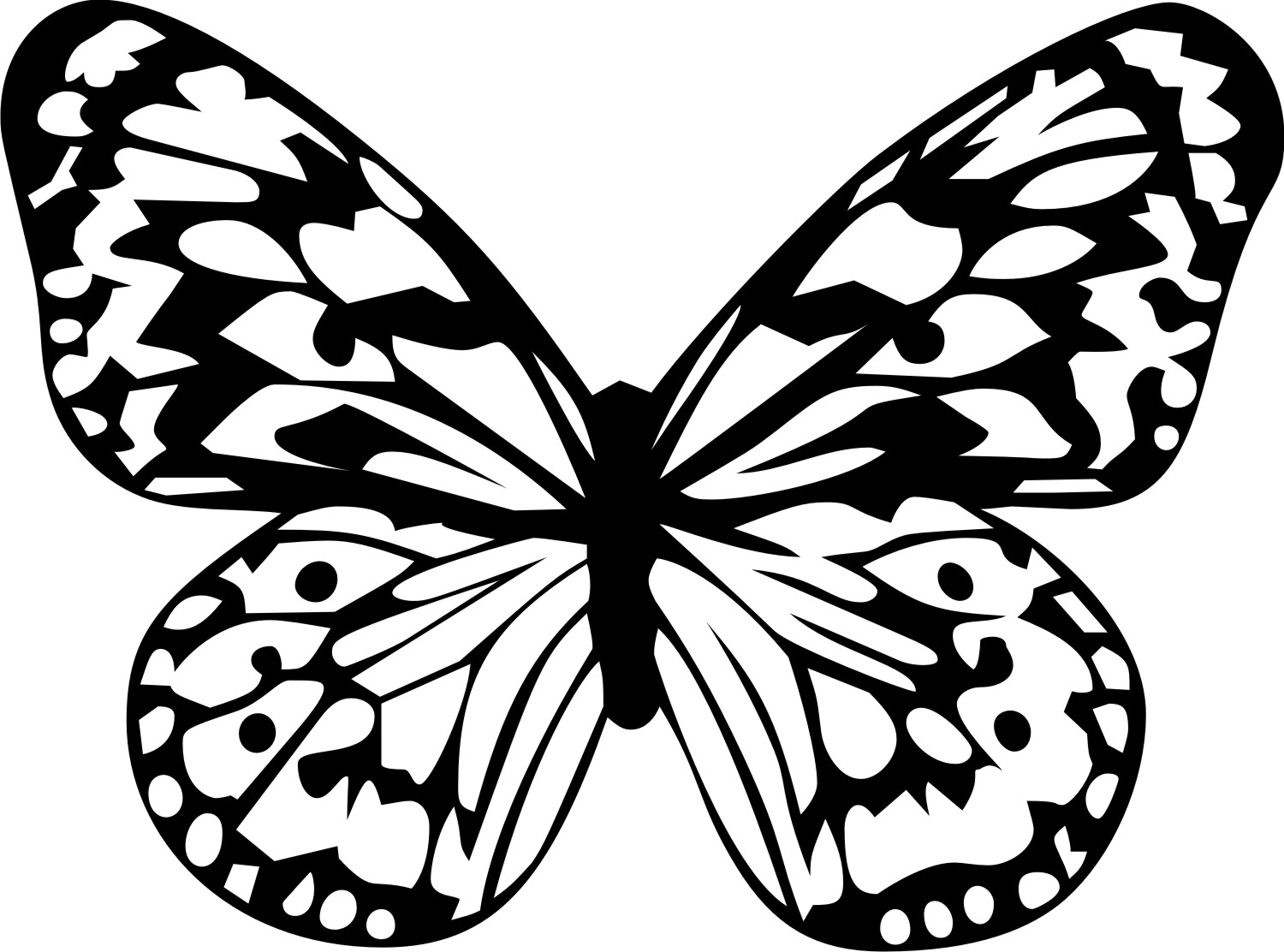 Butterfly Clip Art Black And White Outline : Butterfly Outline Coloring ...