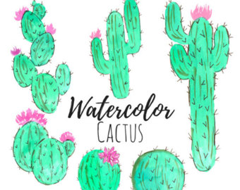 Watercolor cactus Etsy