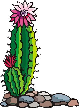 Best 25+ Cactus clipart 