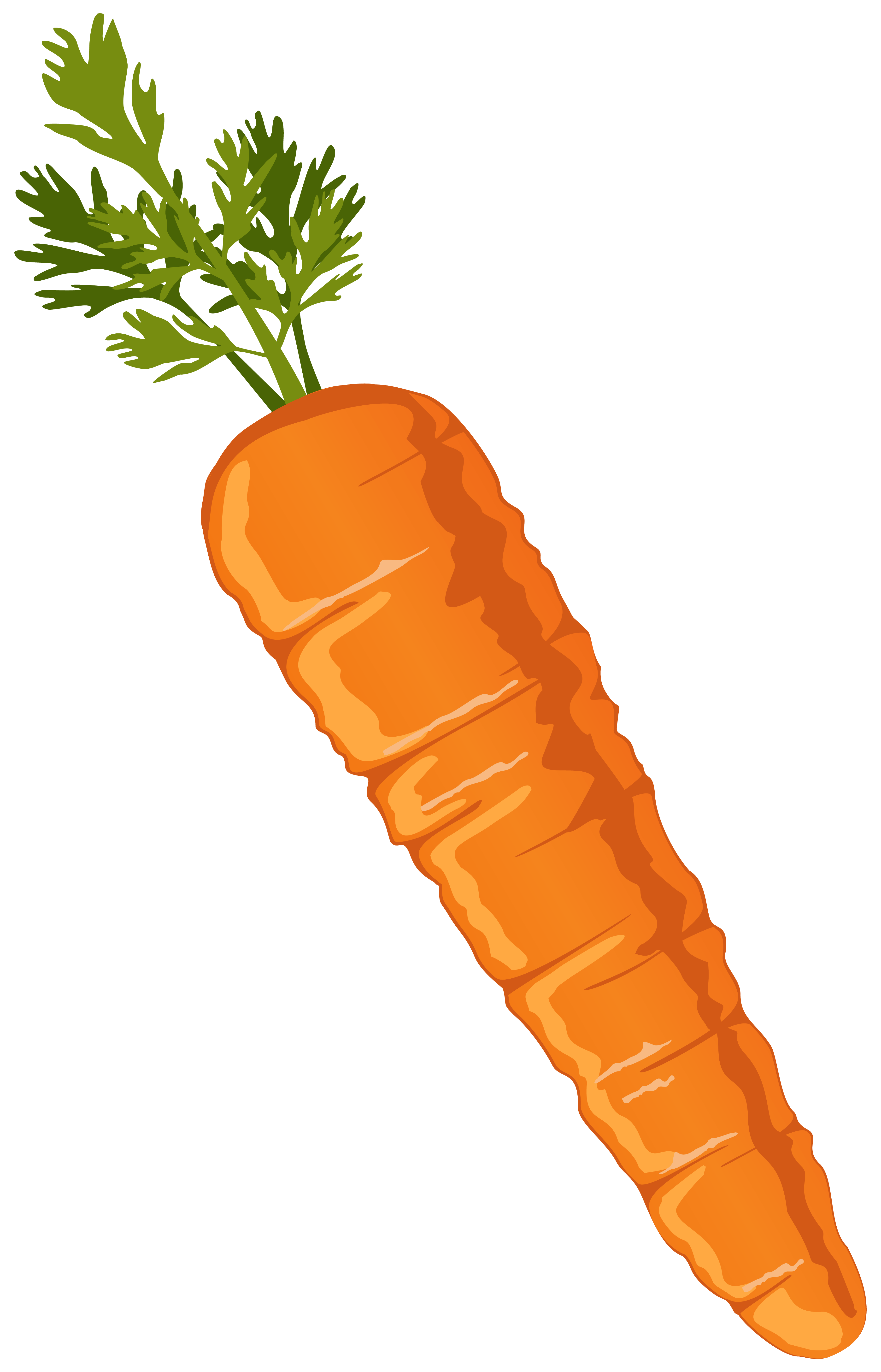 carrot cliparts - Clip Art Library