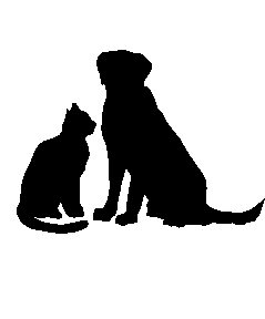 Cat And Dog image