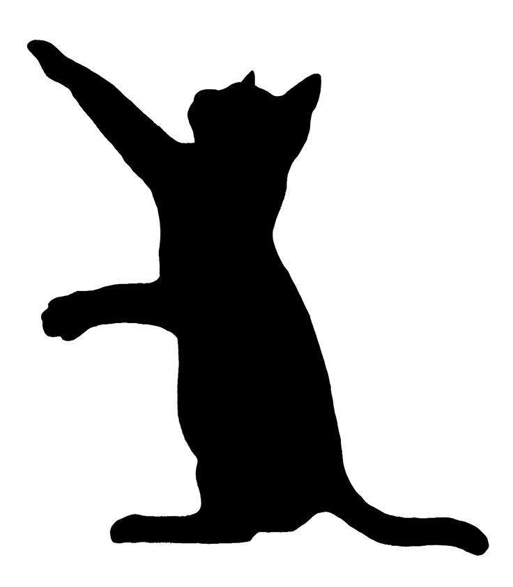Drawn cat silhouette 