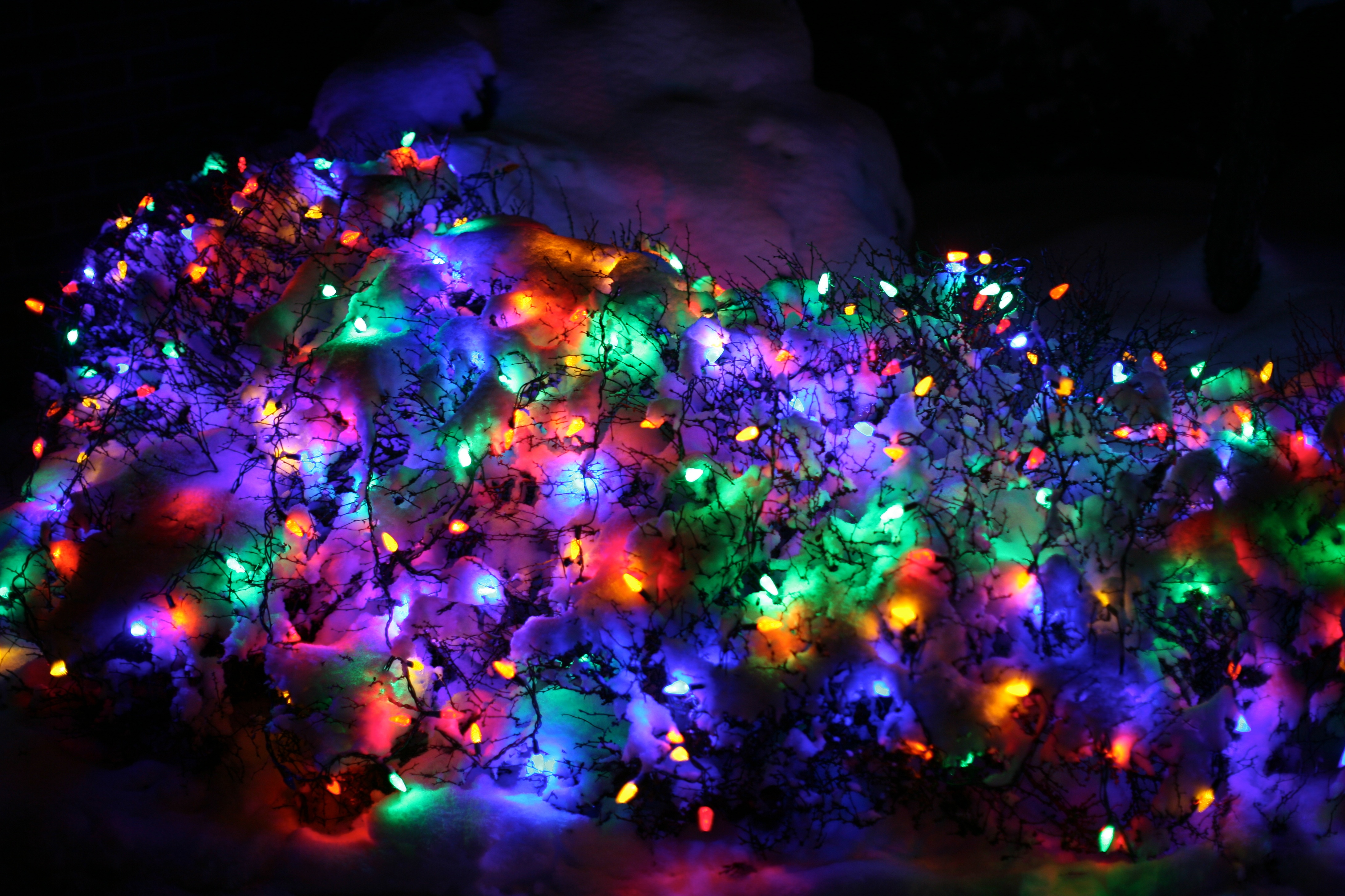 Free Christmas Lights, Download Free Christmas Lights png images, Free  ClipArts on Clipart Library