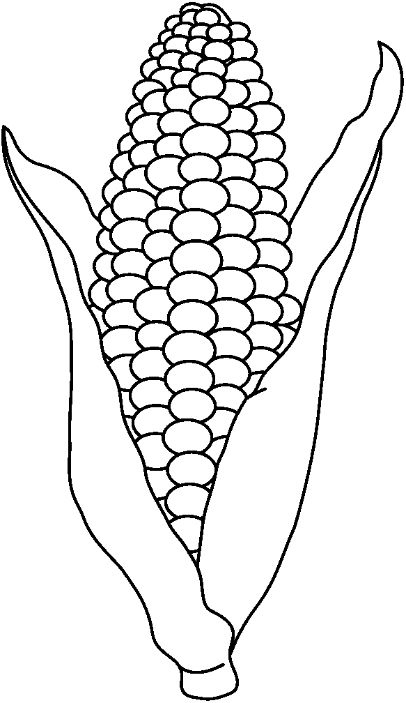 Maize Corn Clipart Black