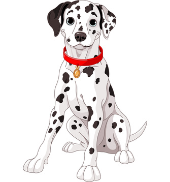 Dalmation Dog Clip Art Pictures Of Dogs_www