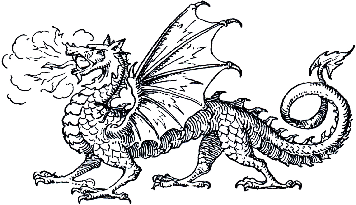 dragons clipart black and white - Clip Art Library