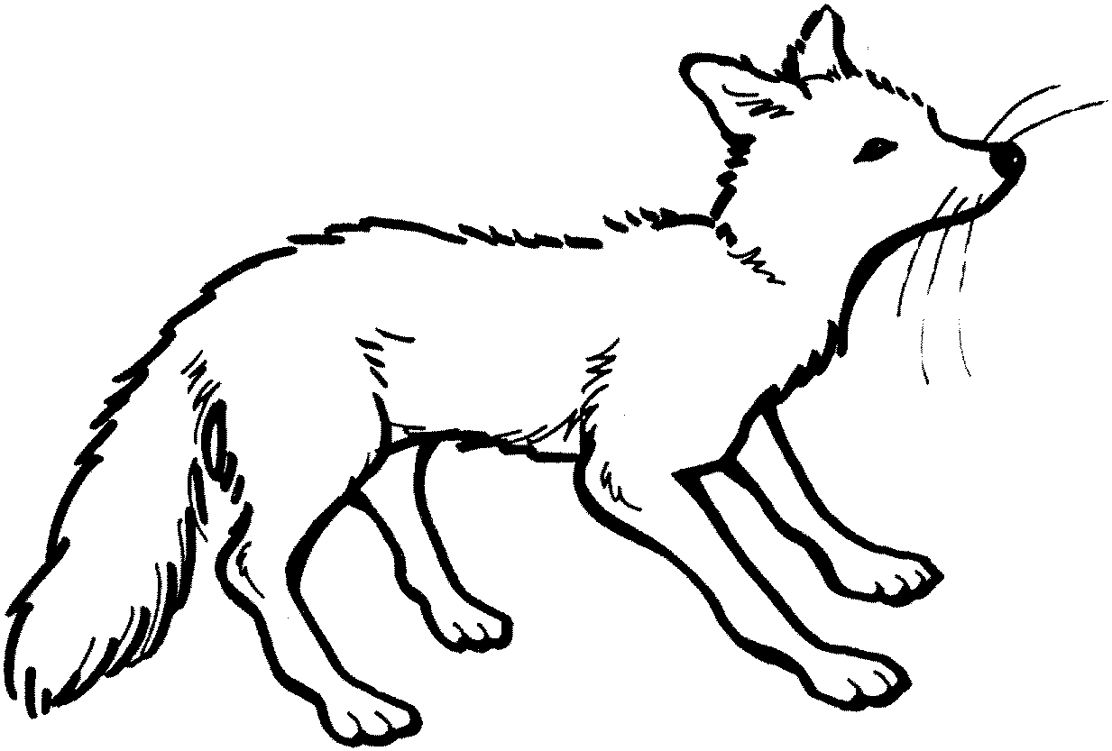 View Fox Clipart Black And White Background - Alade