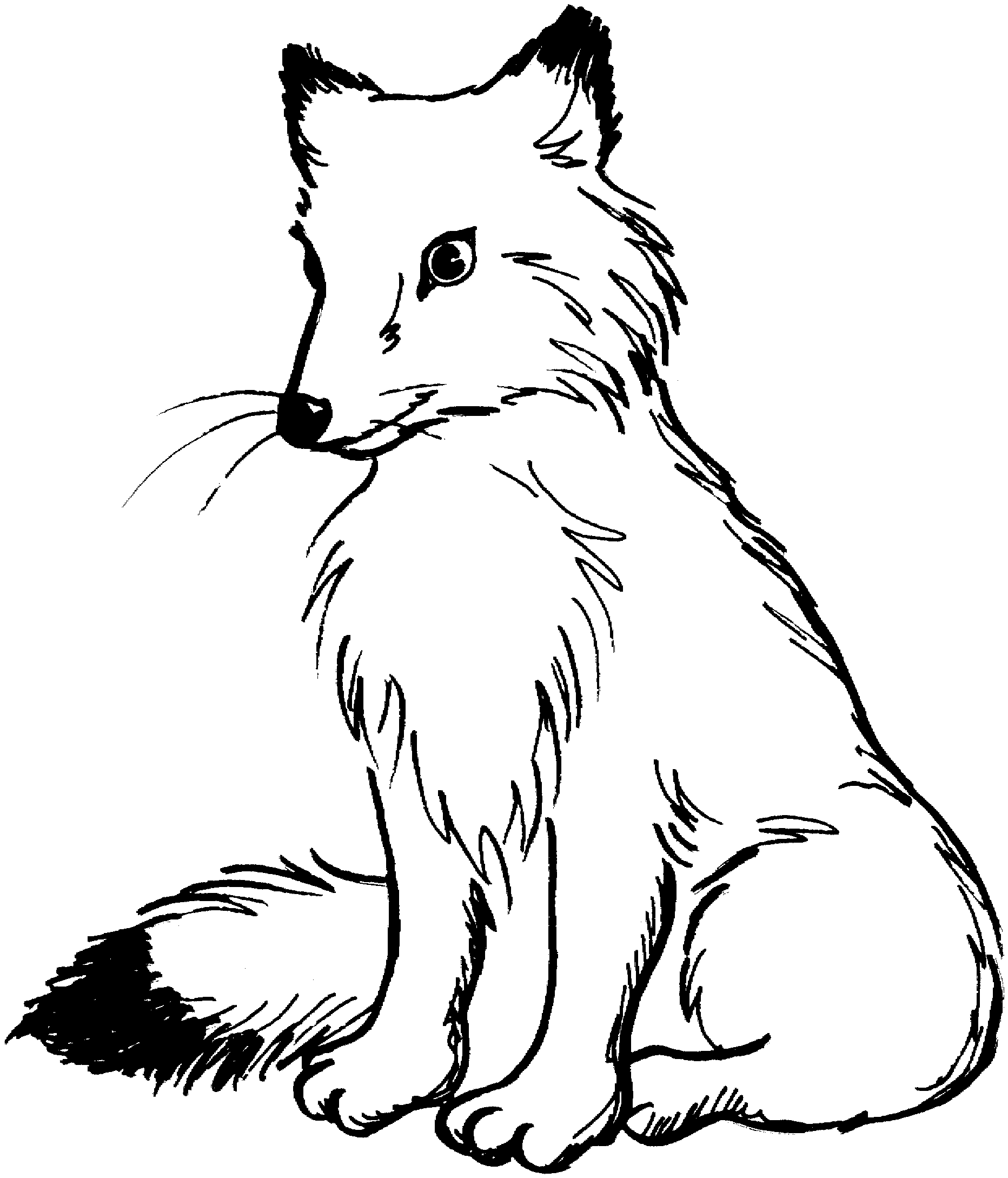 Fox black and white clipart 