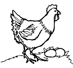 Hen Clipart Black And White 