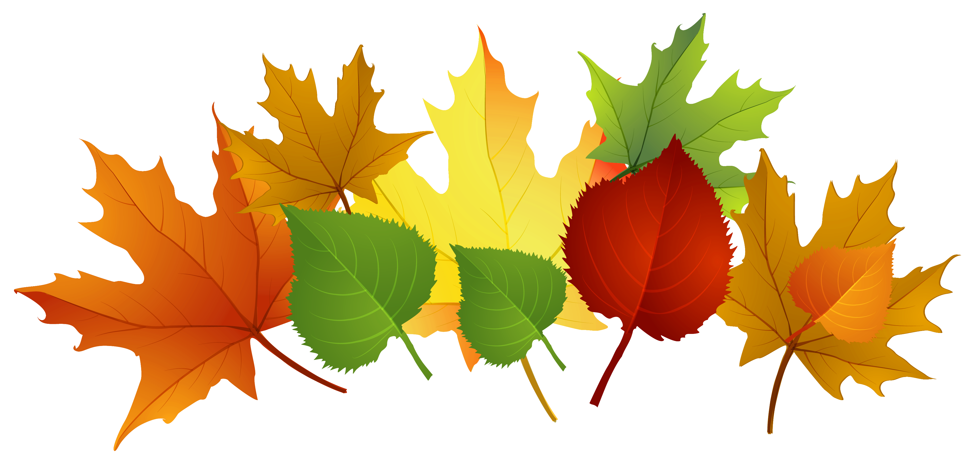 Photos Of Fall Leaf Clip Art Fall Leaves Clip Art Free Clipartix_clipartix