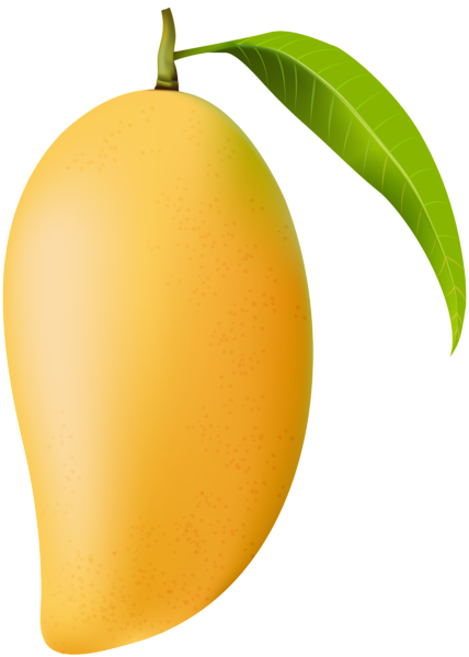 Mango PNG Clip Art High Quality 