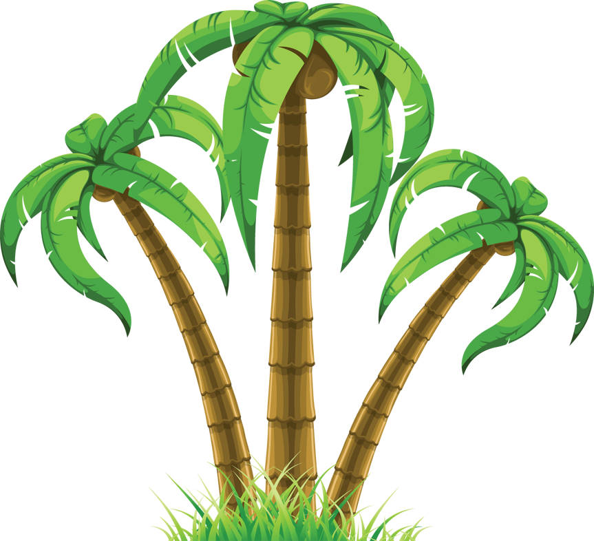 Free Palm Tree Clip Art Download Free Palm Tree Clip Art Png Images Free Cliparts On Clipart