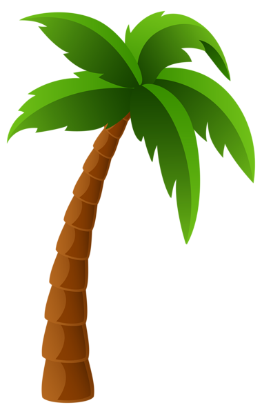 Palm Tree PNG Image Clipart Graphics Pinterest Palm, Clip 