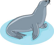 Seal Clipart