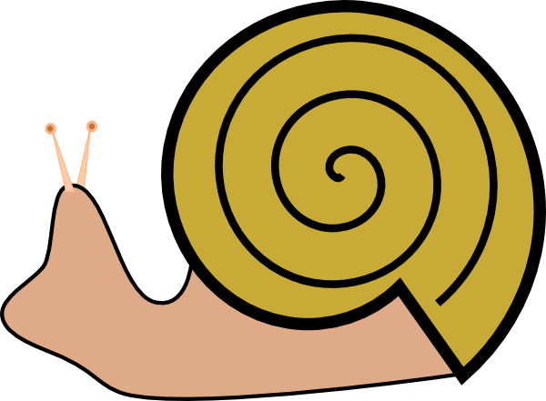 snail shell clipart - Clip Art Library
