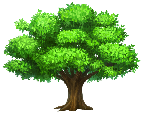 Tree Clipart 3 Cliparting