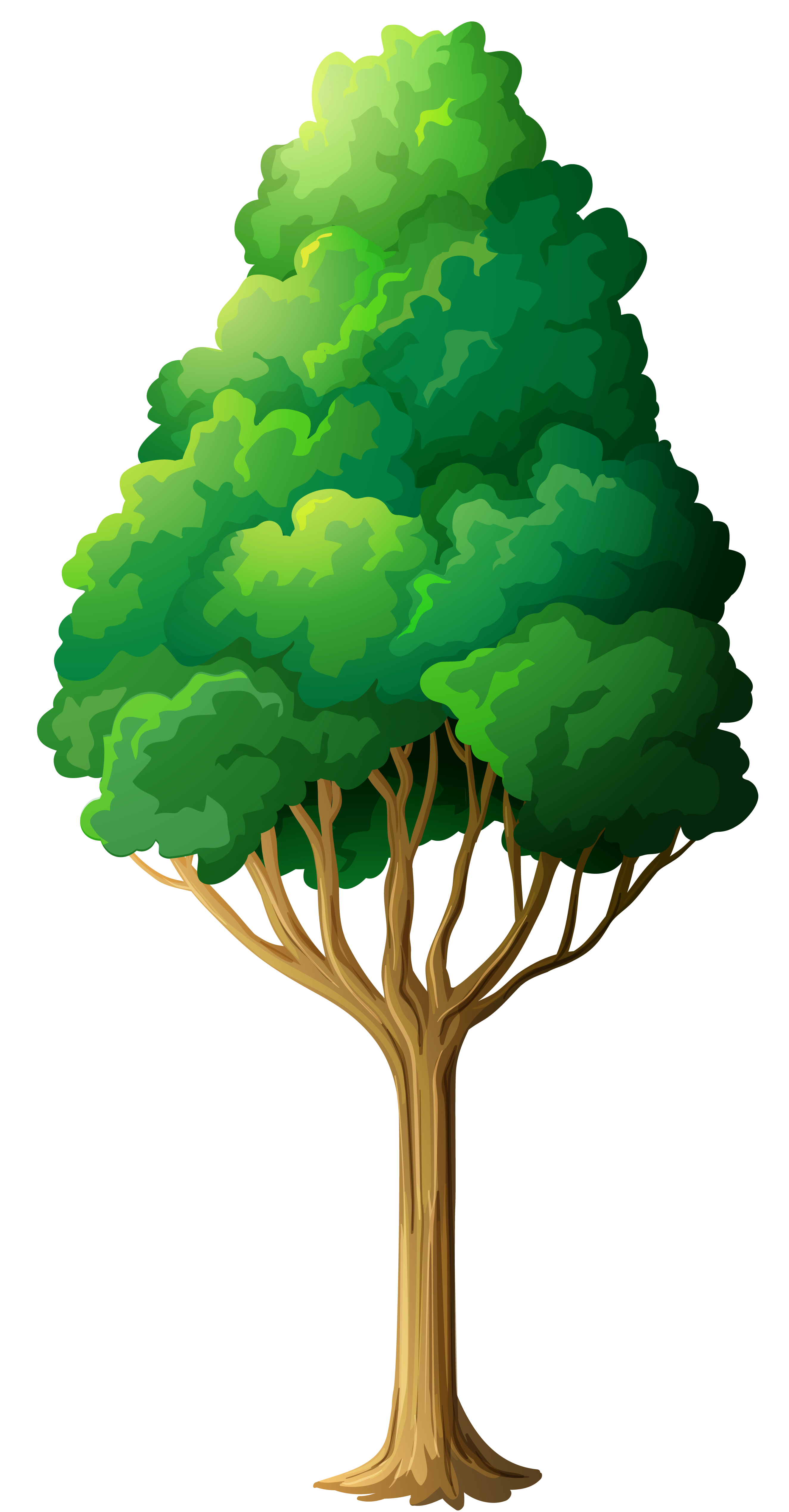 green tree