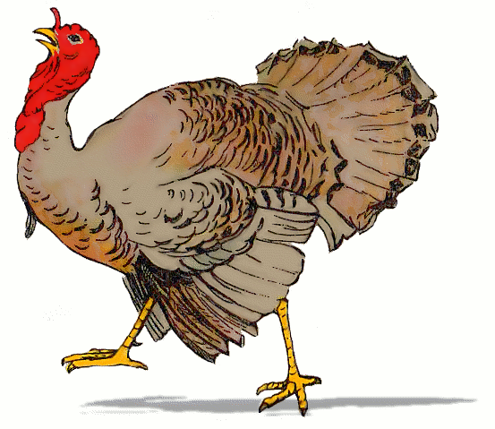 Free American Turkey Clipart, 1 page of free to use images