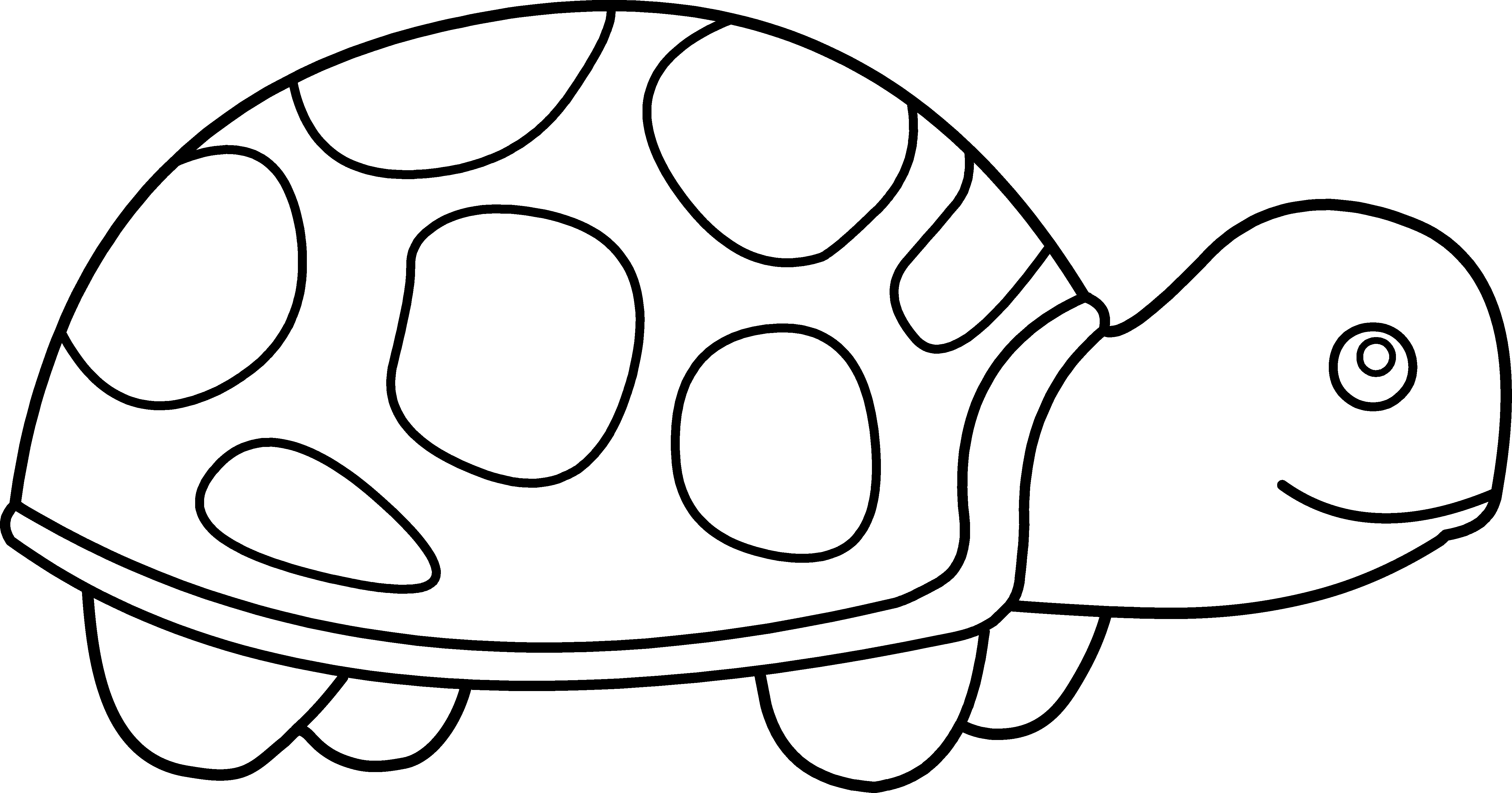 Turtle Clipart Black And White 