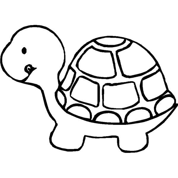 Black And White Cartoon Turtle 