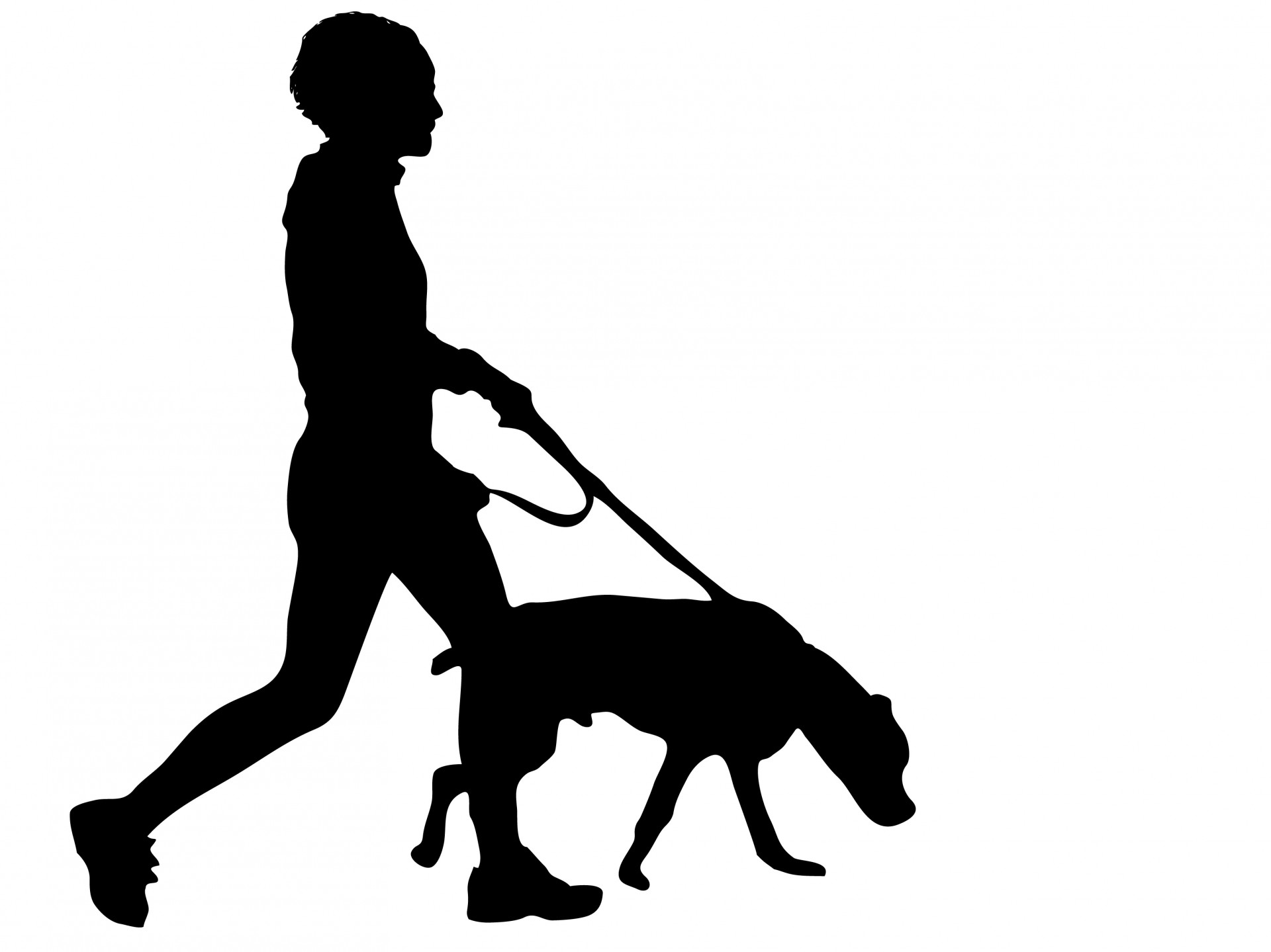 little girl walking dog silhouette